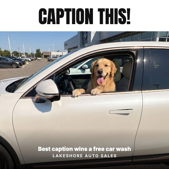 Caption This! car dealership ad template: Funny photo · comments
